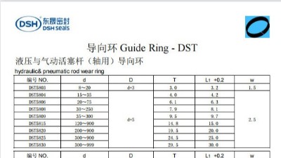 新版導向環(huán)DST規(guī)格尺寸