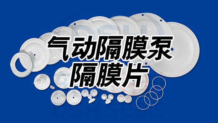 氣動隔膜泵隔<i style='color:red'>膜片密封圈</i>的更換方法