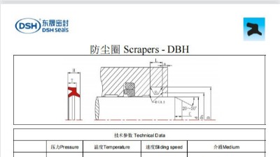 新版防塵圈DBH規(guī)格尺寸表
