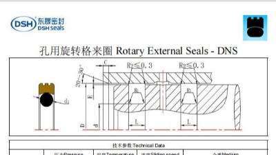 新版孔用旋轉格來圈DNS規(guī)格尺寸表