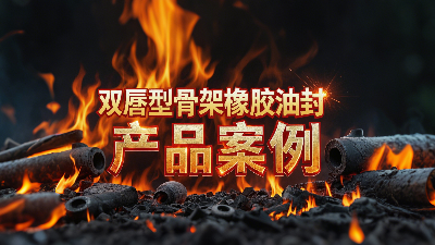 雙唇型骨架橡膠油封產(chǎn)品案例丨軸用密封大揭秘！高溫200℃下，憑啥成“防漏王者”？?