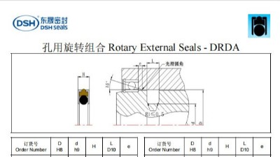 新版孔用旋轉(zhuǎn)組合密封圈DRDA規(guī)格尺寸表